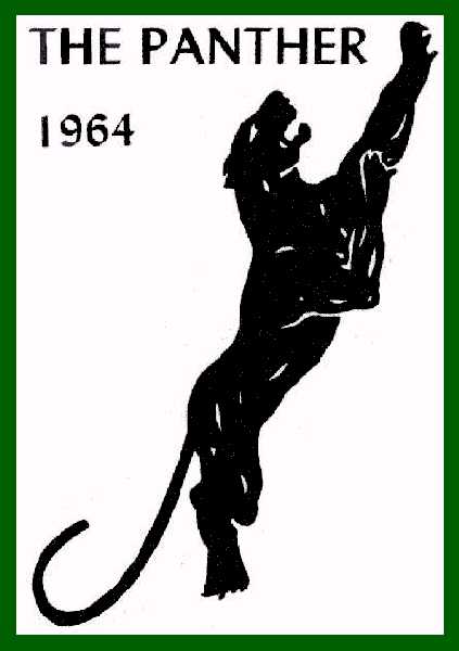 64panth2.jpg (27648 bytes)